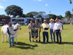 Anunciados os Grandes Campeões da ExpoZebu 2017