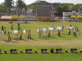 Expoinel 2015: Últimos dias de inscrições com desconto