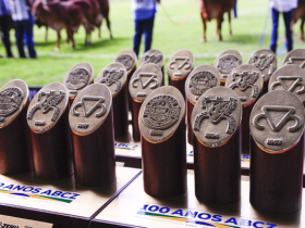 Conheça os melhores criadores e expositores da ExpoZebu 2019