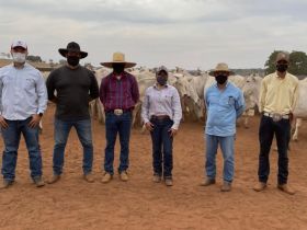 PMGZ e PMGZ Comercial avançam pelo centro-oeste brasileiro 