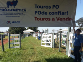 Começa julgamento e feira do Pró-Genética na Expotrês