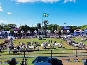 Confira o regulamento da 91ª ExpoZebu