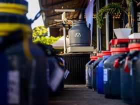 43ª edição do Concurso Leiteiro da ExpoZebu já tem as grandes campeãs