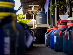 Concurso Leiteiro da 89ª ExpoZebu registra mais de 70% de ocupação no primeiro dia de inscrições