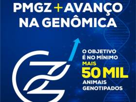 ABCZ e NEOGEN firmam parceria para genotipagens subsidiadas