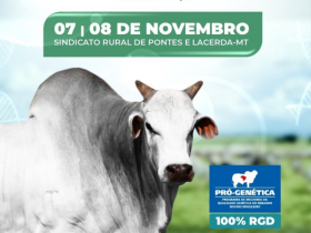 ?1º Shopping Genética TETO? irá ofertar mais de 30 animais Nelore e Nelore Mocho