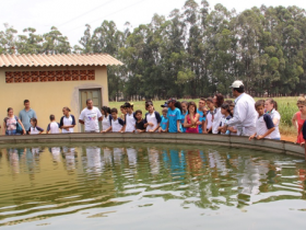 3ª edição da Turma do Zebuzinho será produzida por alunos de escolas rurais