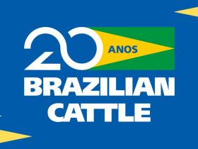 Com atuação do Brazilian Cattle, Brasil vai ampliar comércio de material genético para o Panamá