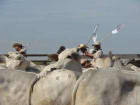 ABCZ promove capacitação do PMGZ em Pernambuco 