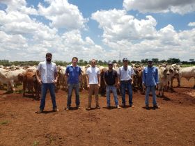 Professores do IFTM visitam programa ‘Zebu: Carne de Qualidade’