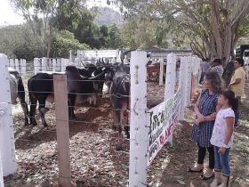 Cidade do Espírito Santo sedia feira do Pró-Genética