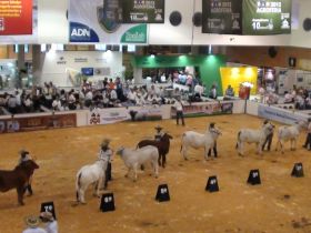 ABCZ desenvolve ações estratégicas na Colômbia 