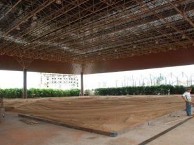 Animais da raça nelore começam a chegar para Expoinel Minas 