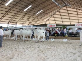 ABCZ estará presente nas principais exposições em 2012