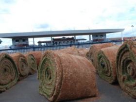 Reforma da pista de julgamento chega a etapa de gramar