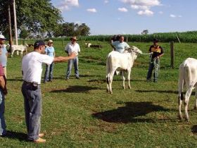 ABCZ promove cursos para capacitação de mão de obra rural