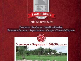 Aberta a temporada de leilões homologados pelo PMGZ