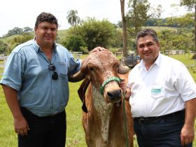 Criadores paulistas participam de Dia de Campo do PMGZ Leite 