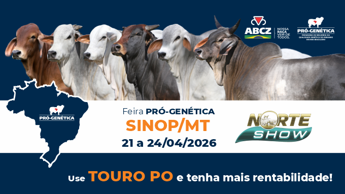 FEIRA DE TOUROS PRÓ-GENÉTICA EM SINOP-MT