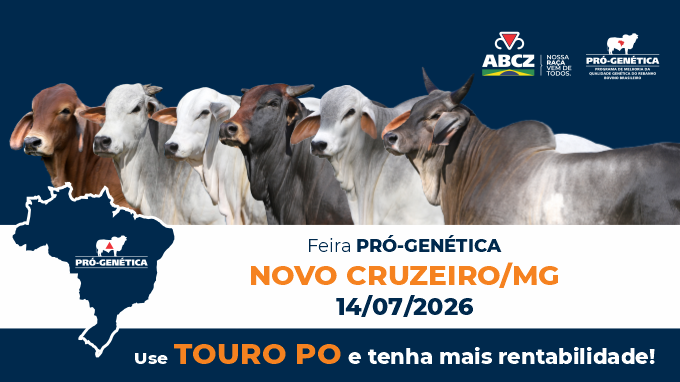 FEIRA DE TOUROS PRÓ-GENÉTICA EM NOVO CRUZEIRO/MG