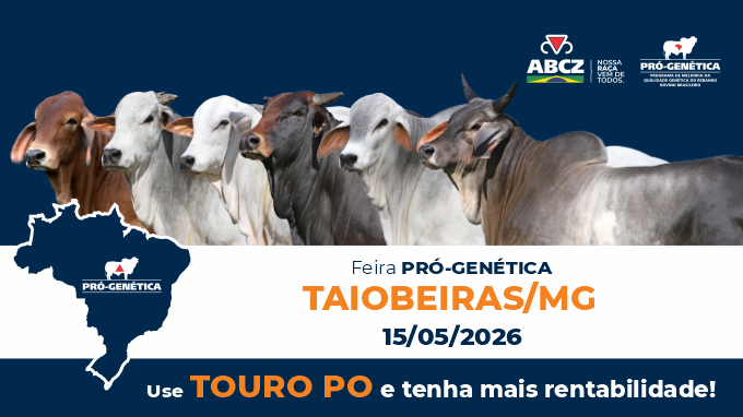 FEIRA DE TOUROS PRÓ-GENÉTICA EM TAIOBEIRAS/MG