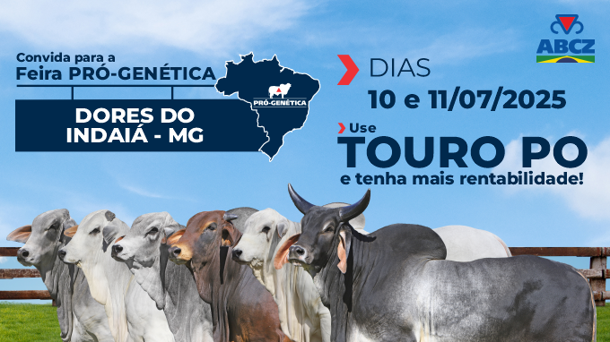 FEIRA DE TOUROS PRÓ-GENÉTICA EM DORES DO INDAIÁ/MG