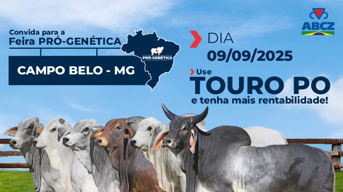 FEIRA DE TOUROS PRÓ-GENÉTICA EM CAMPO BELO/MG