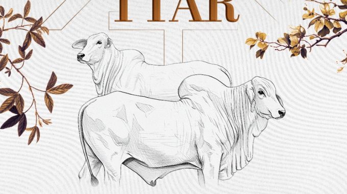 4º SHOPPING VIRTUAL SHOW DE RAÇA TTAR - REPRODUTORES E BEZERRAS