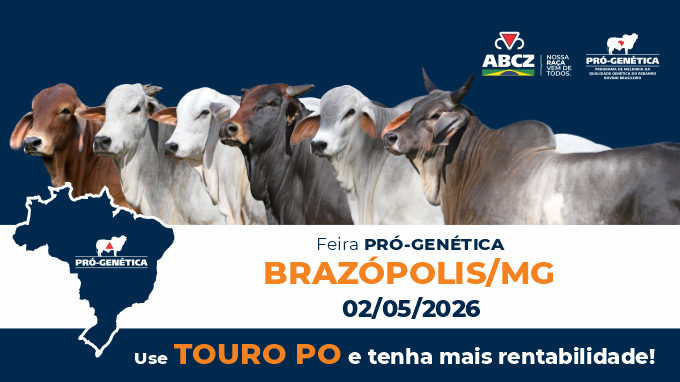 FEIRA DE ANIMAIS PRÓ-GENÉTICA EM BRAZÓPOLIS/MG