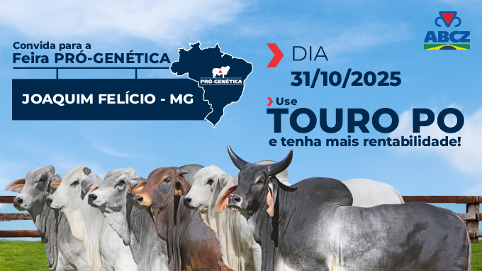 FEIRA DE TOUROS PRÓ-GENÉTICA EM JOAQUIM FELÍCIO/MG