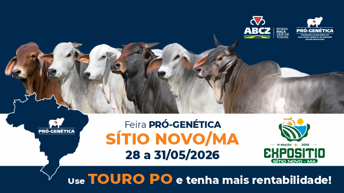 FEIRA DE TOUROS PRÓ-GENÉTICA EM SÍTIO NOVO/MA