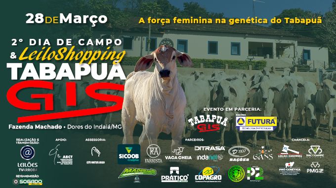 2º DIA DE CAMPO E LEILOSHOPPING TABAPUÃ GIS 