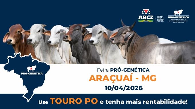 FEIRA DE TOUROS PRÓ-GENÉTICA EM ARAÇUAÍ/MG