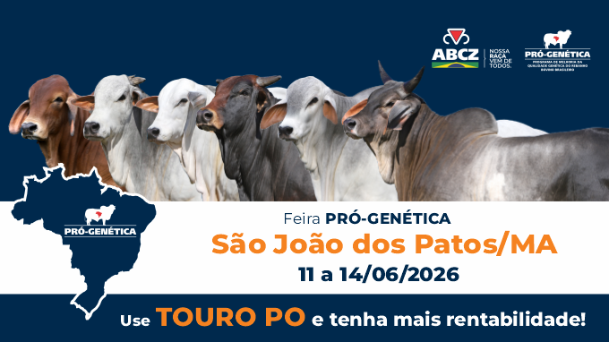 FEIRA DE TOUROS PRÓ-GENÉTICA EM SÃO JOÃO DOS PATOS/MA