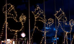 Natal Cultural no Parque