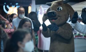 Natal Cultural no Parque