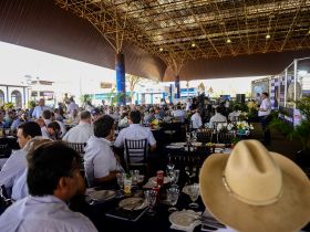 Leilão PNAT -ExpoGenética 2022