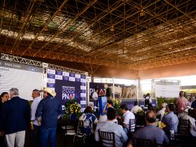 Resultado final Programa Nacional de Avaliação de Touros Jovens - PNAT ExpoGenética 2022 