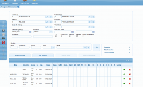 Tela de pesagens e mensurações